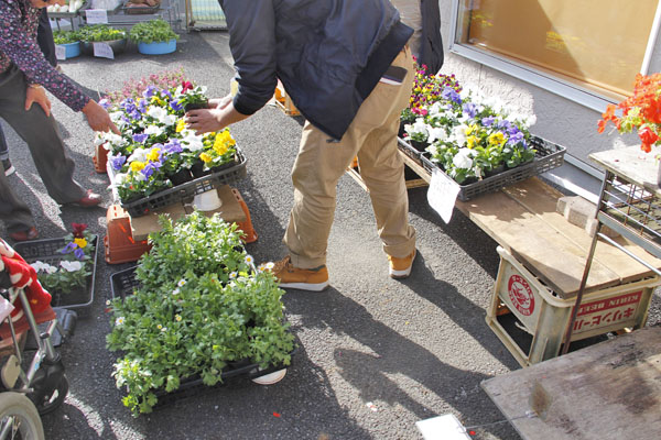園芸班で作った花と野菜の販売